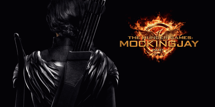 1600x1000 Mockingjay Wallpaper - Hunger Games Mockingjay (#374126) - HD