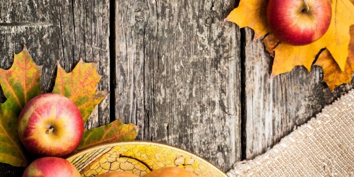 1600x900 Fall Harvest Wallpaper High Resolution | Natures Wallpapers | Apple