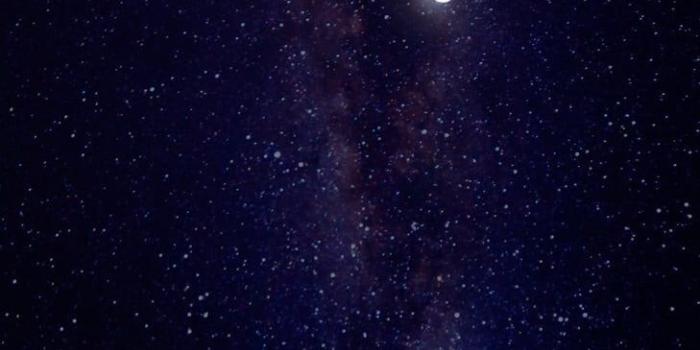 729x1279 Wallpaper for you guys 