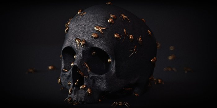 1920x1080 Gorgeous metallic insects and skulls with engraved patterns / Boing