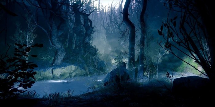 1280x720 The Dark Forest - (Destiny 2) - [Live Wallpaper] 4K