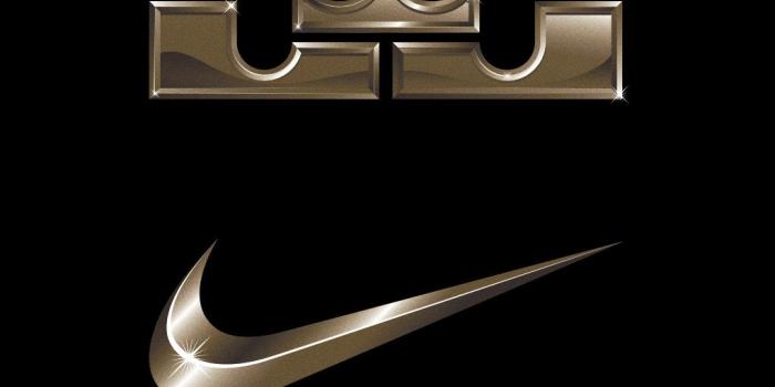 1020x1443 LeBron James Crown Logo - LogoDix