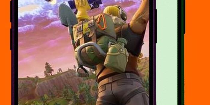 732x1324 Fortnite Battle Royal Game Wallpapers 4K for Android - APK Download