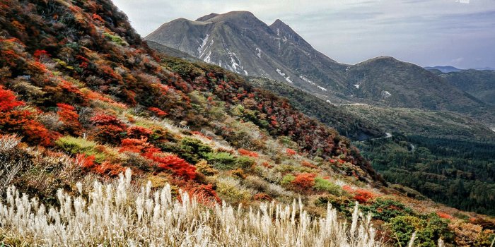 1920x1080 Japanese Landscape Wallpaper (62+ images)