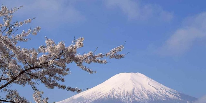 1280x1024 Mount Fuji Japan With Blossoms - Mountains Wallpaper