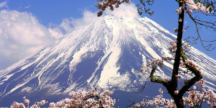 1920x1200 Japan, mountains, mount Fuji, cherry blossoms, flowers :: Wallpapers