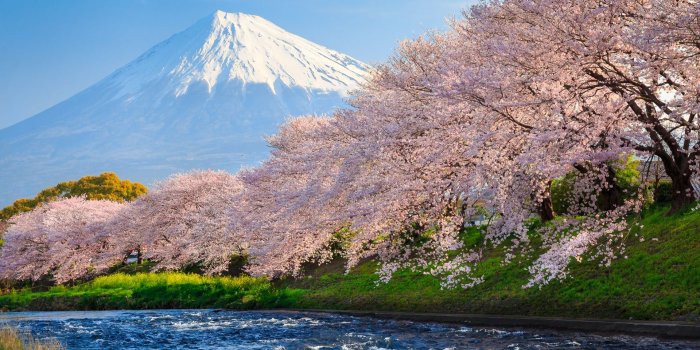 1920x1080 Wallpaper fuji, 4k, HD wallpaper, sakura, river, japan, travel