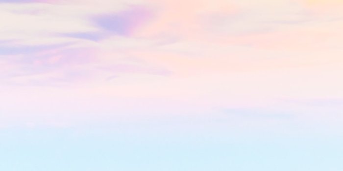 1080x1920 Birds At Sea Pastel Pink iPhone 6 Plus HD Wallpaper HD - Free