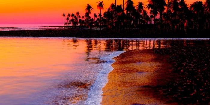 800x1200 Wallpaper Beach, Tropics, Sea, Sand, Palm Trees, Sunset - Sunset