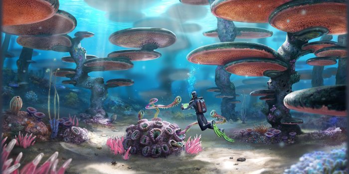 2560x1440 Subnautica Wallpapers HD for Android - APK Download