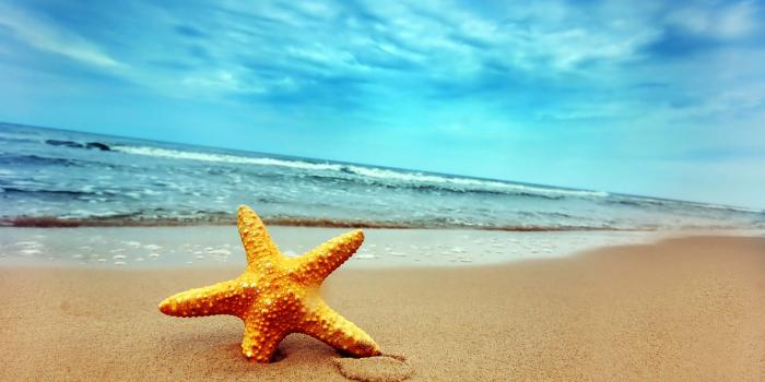 2560x1600 Free Beach Background, Download Free Clip Art, Free Clip Art on