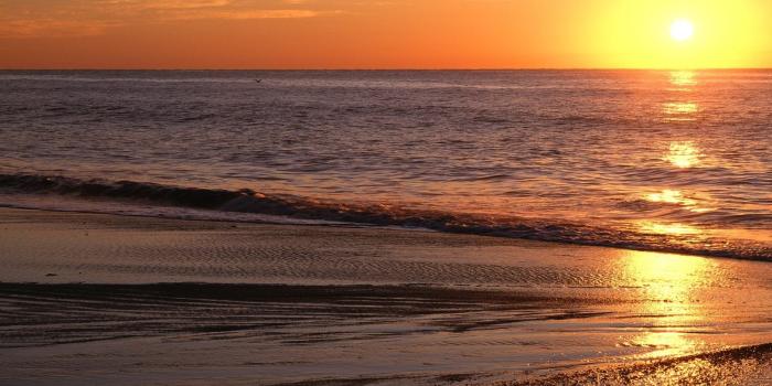 1600x1200 Best 50+ Myrtle Beach Palm Beach Wave Wallpaper on HipWallpaper