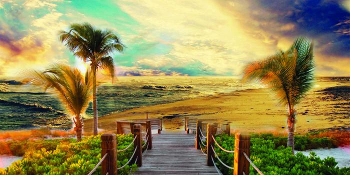 1024x768 65+ Colorful Palm Tree Wallpapers - Download at WallpaperBro