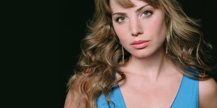 1600x1200 Erica Durance Wallpaper and Background Image | 1600x1200 | ID:193879