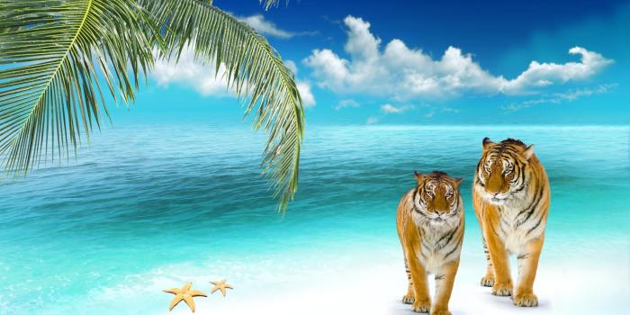 1920x1200 On the beach | 116 Wallpapers