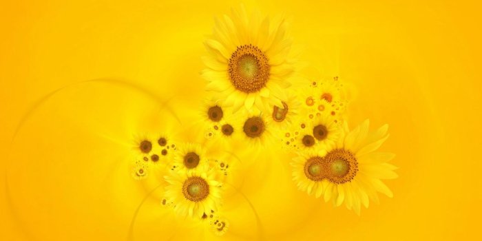 1280x800 Bright Yellow HD Wallpaper, Background Images