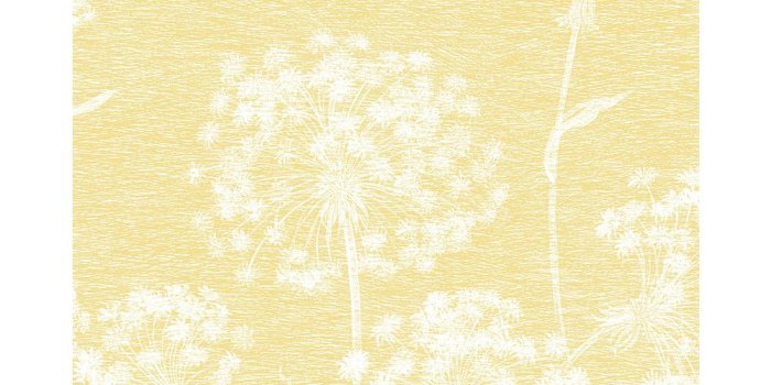 1000x1000 56.4 sq. ft. Carolyn Yellow Dandelion Wallpaper