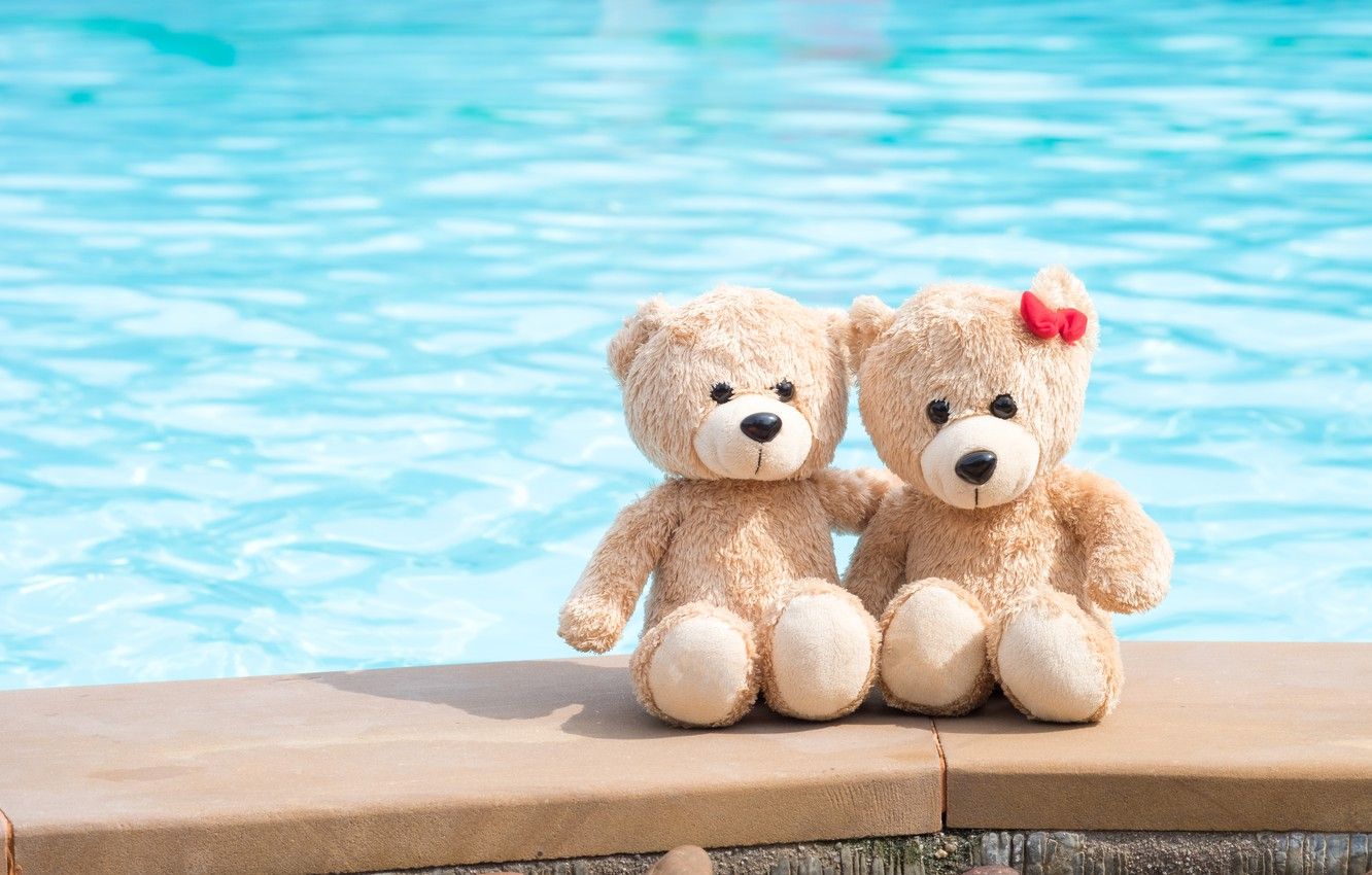 1332x850 Wallpaper sea, beach, love, toy, bear, bear, pair, love, two, beach