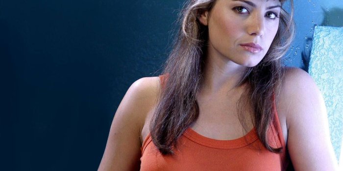 1280x960 Erica Durance Wallpaper and Background Image | 1280x960 | ID:193877