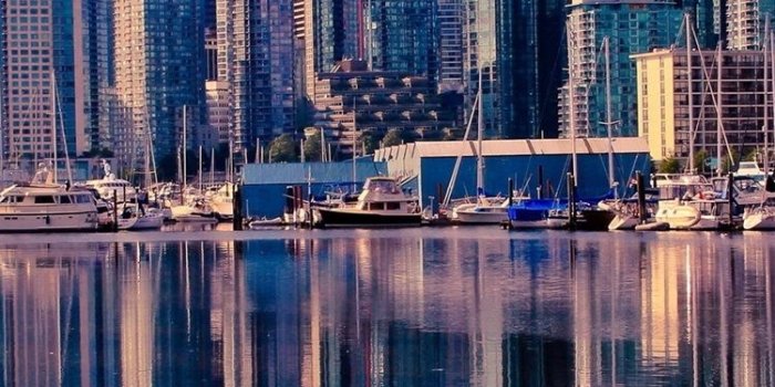 750x1334 Canada, Vancouver, lake, water, ducks, skyscrapers, city 750x1334