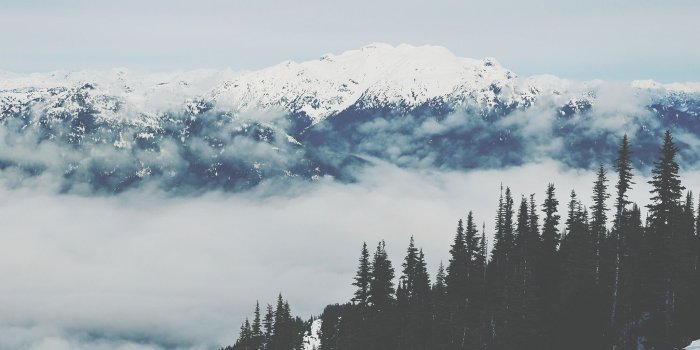 2048x2048 Wallpaper of the Week - Whistler