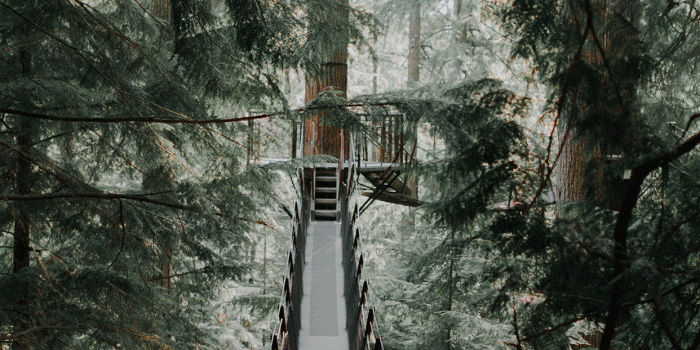 1242x2688 Bridge Wallpaper for iPhone X, 8, 7, 6 - Free Download on 3Wallpapers