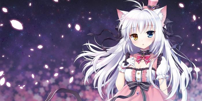1920x1080 Anime Cat Girl Wallpaper (72+ images)