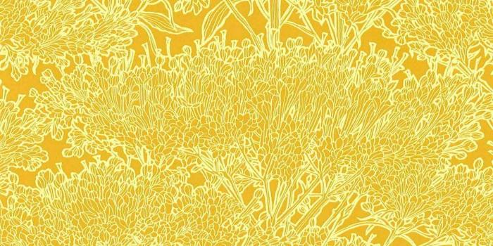 1440x1440 Absolutely Chic Floral Yellow