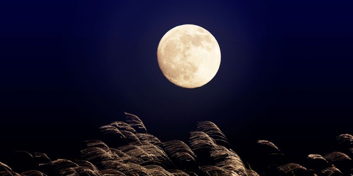 1920x1080 Japanese Moon – Bing Wallpaper Download