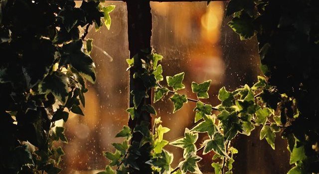 640x1385 Vancouver iPhone X wallpaper #window #light #Evening #holiday