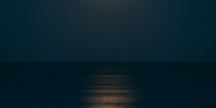 1000x1250 100+ Moonlight Pictures | Download Free Images on Unsplash