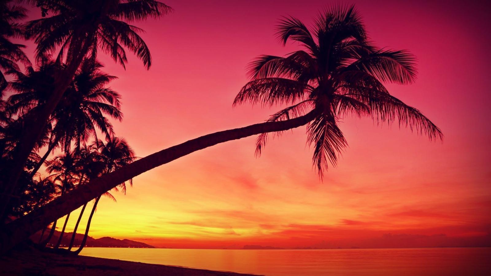 1920x1080 76+ Sunset Beach Wallpapers on WallpaperPlay
