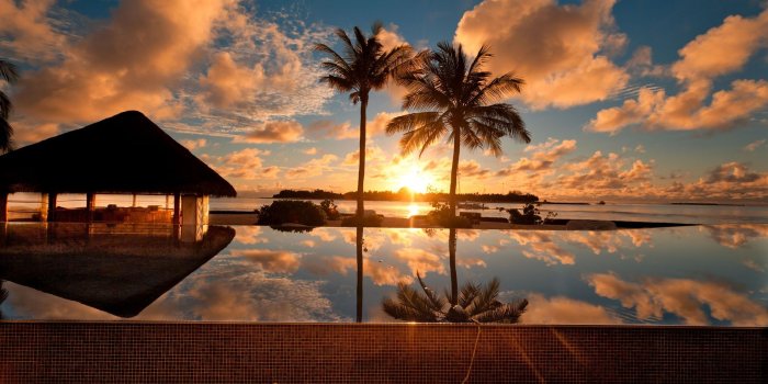1920x1200 Sunset, At, Palm, Beach, Nature, Beautiful, Desktop, Background