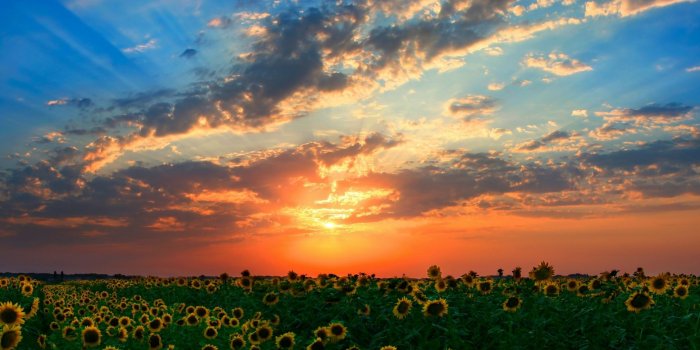 1920x1080 Stunning Sunset Background Desktop HD [1920x1080] : wallpaper