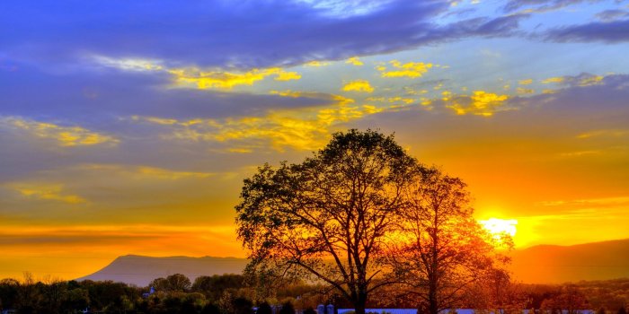 1920x1200 Summer Sunset Desktop Wallpapers - Wallpapers Browse