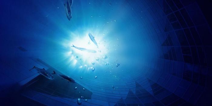 1200x750 Sweet Hi-Res Wallpapers - Miata Turbo Forum - Boost cars, acquire cats.