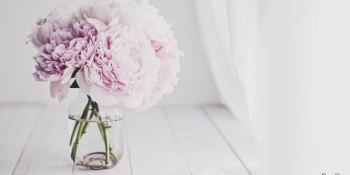 1920x1080 65+ Peony Desktop Wallpapers on WallpaperPlay