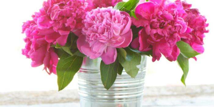 2560x1440 Desktop Wallpaper Peonies (57+ images)