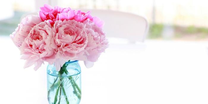 1920x1080 37+] Peonies Wallpaper Desktop on WallpaperSafari