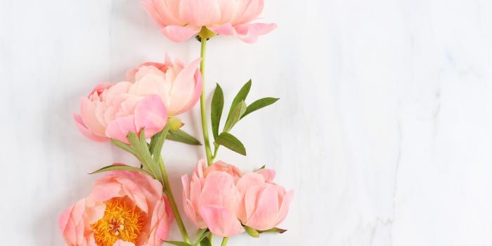 5071x3378 DIGITAL BLOOMS JUNE 2017 | FREE DESKTOP WALLPAPERS - JustineCelina