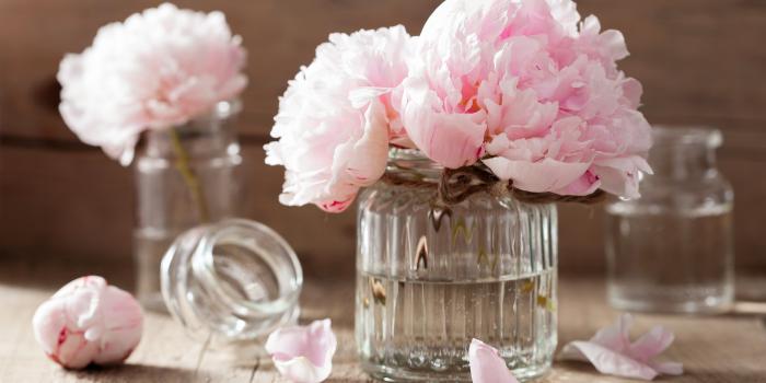 5484x3657 Peony Desktop Wallpaper (108+ images in Collection) Page 3