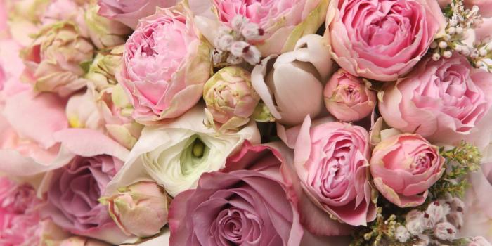 1920x1200 Peonies desktop wallpaper Gallery