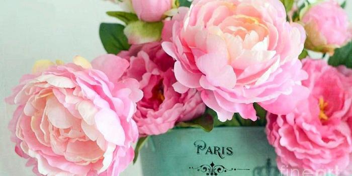 1440x960 55+ Chic Floral Desktop Wallpapers - Download at WallpaperBro