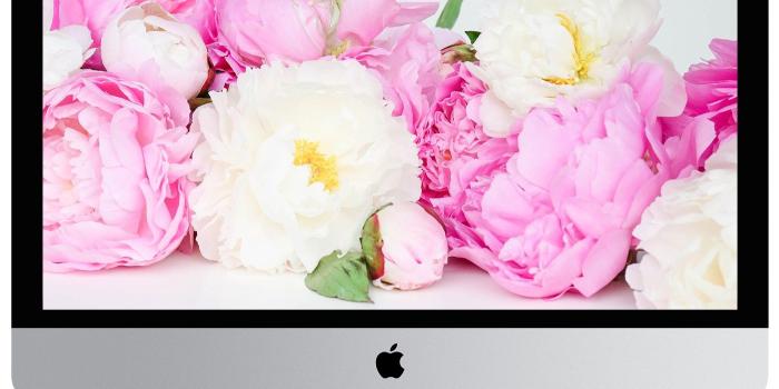 1400x1169 ProperPrintables \ Colorful Peonies Wallpaper Download