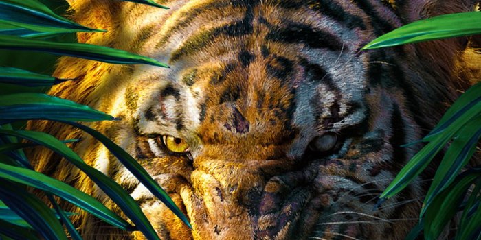 1080x1920 The Jungle Book 2016 Movie Wallpapers for iPhone - Apple Lives
