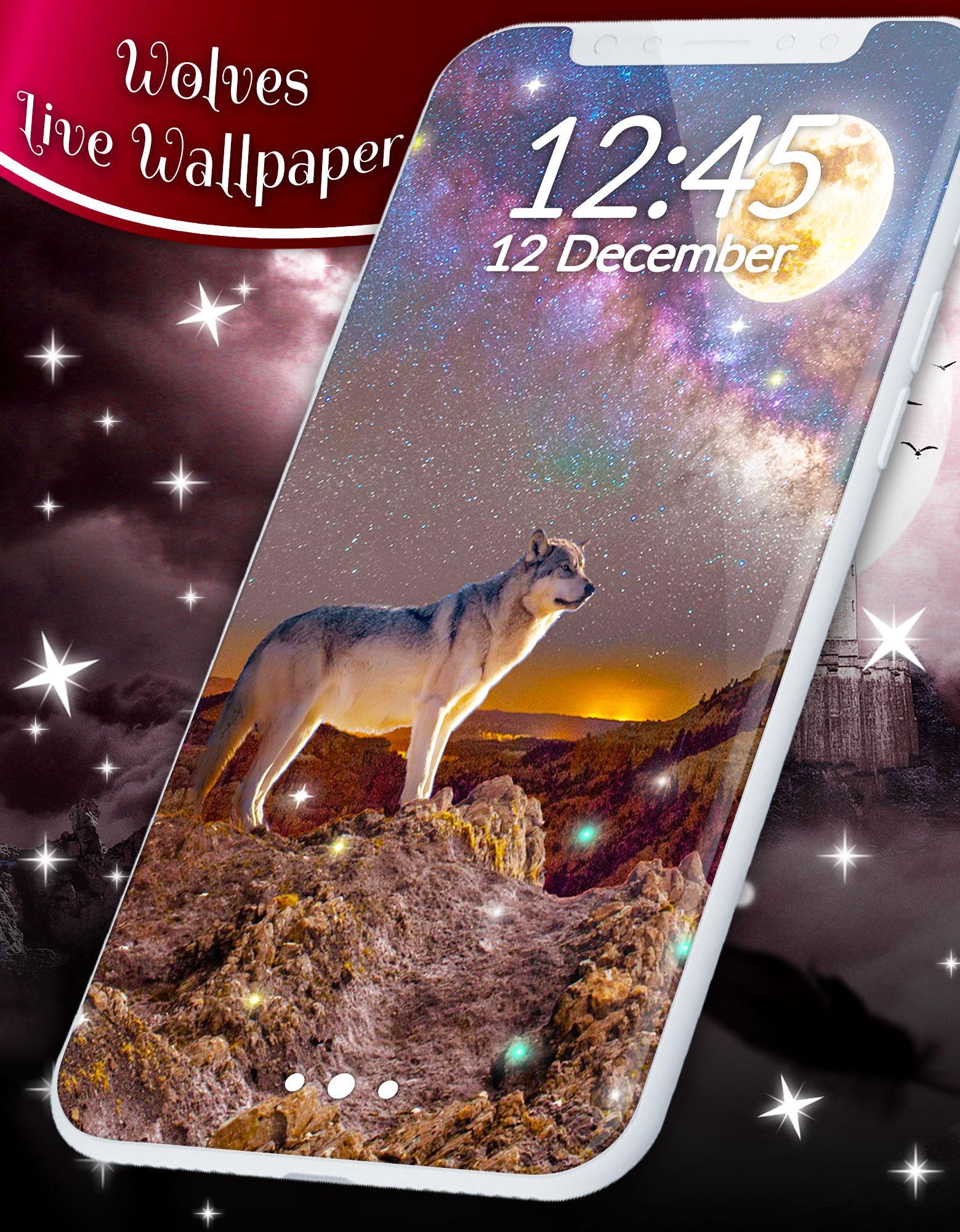 1559x2000 Wolf Dynamic Wallpaper 