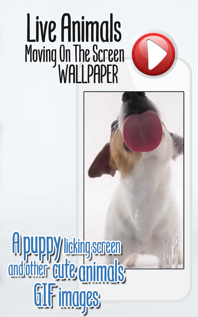 800x1280 Live Animals Moving On The Screen Wallpaper for Android - APK Download