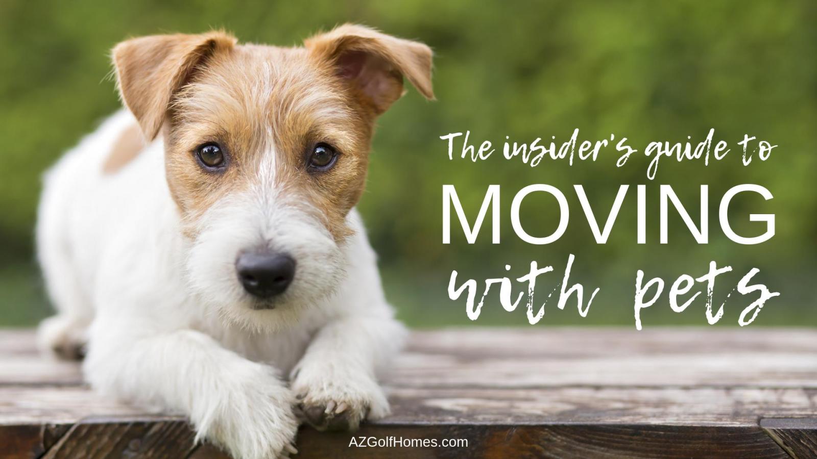 1920x1080 The Insider's Guide to Moving With Pets - Homes for Sale & Real