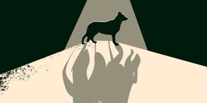 744x1392 Iphone 5 Wallpaper Entertainment Movies Sherlock Holmes - Sherlock