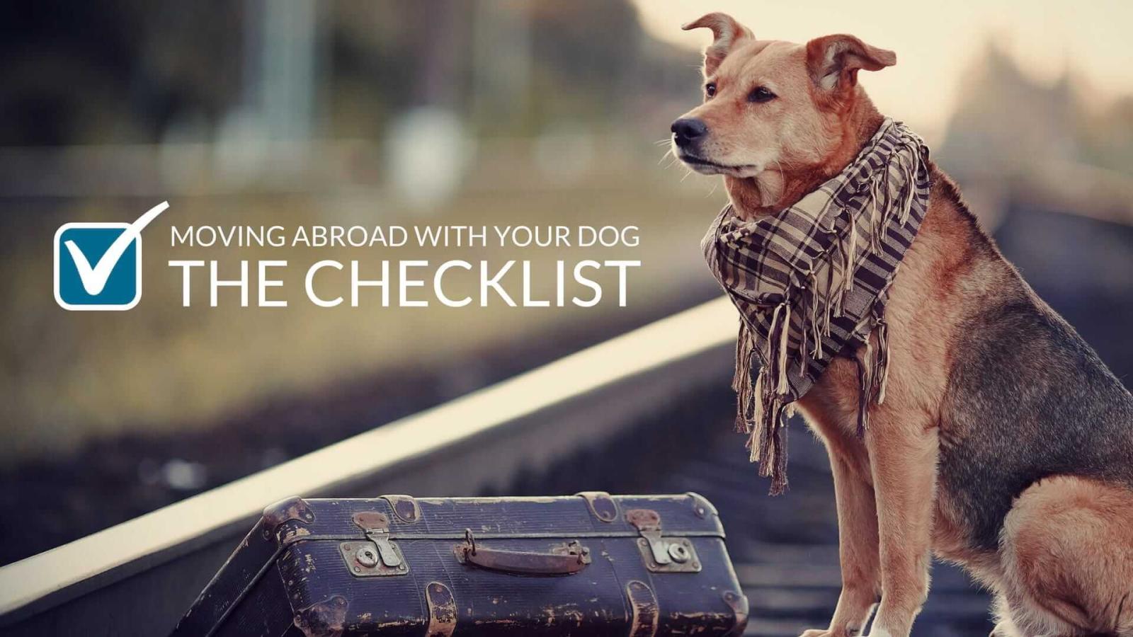 1920x1080 Tractive DOG Sleeve Variety Pack | Tractive